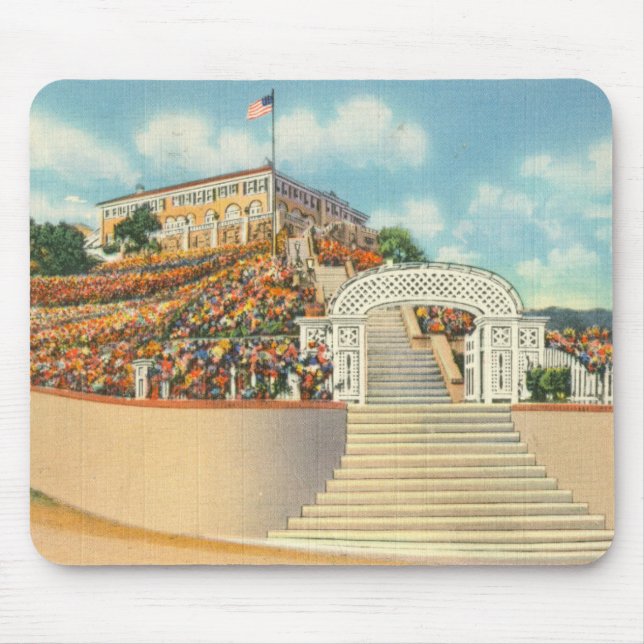 Catalina Mouse Pad (Front)