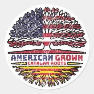 Catalonia Catalan US American USA United States Classic Round Sticker
