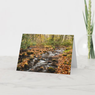 Cataloochee Creek NC Great Smoky Mountains Card