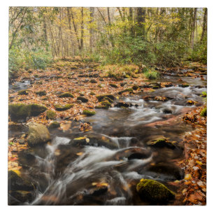 Cataloochee Creek NC Great Smoky Mountains Ceramic Tile