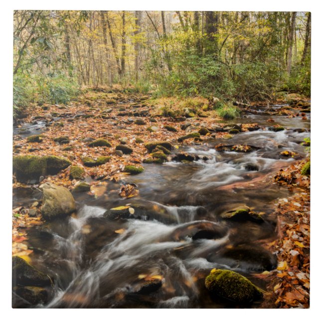 Cataloochee Creek NC Great Smoky Mountains Ceramic Tile (Front)