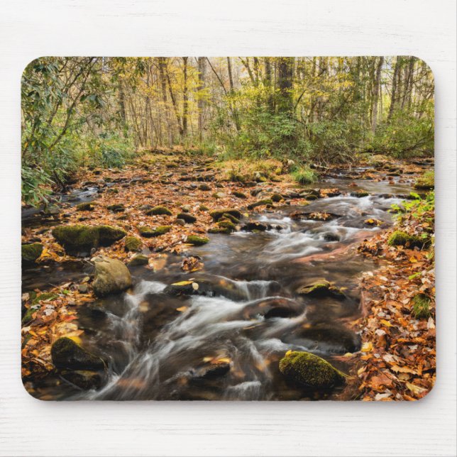 Cataloochee Creek NC Great Smoky Mountains Mouse Pad (Front)