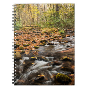 Cataloochee Creek NC Great Smoky Mountains Notebook