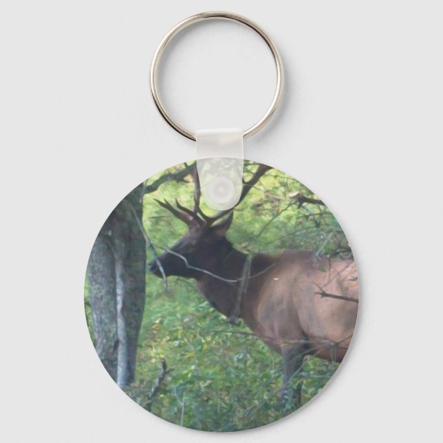Cataloochee Elk Key Ring (Front)