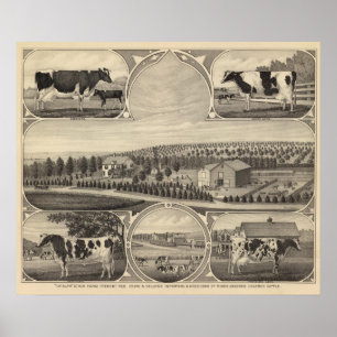 Catalpa, Nebraska Poster