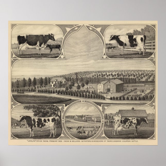 Catalpa, Nebraska Poster (Front)