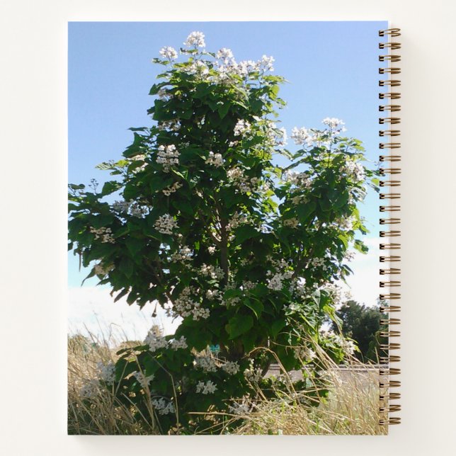 Catalpa Tree in Bloom Notebook (Back)