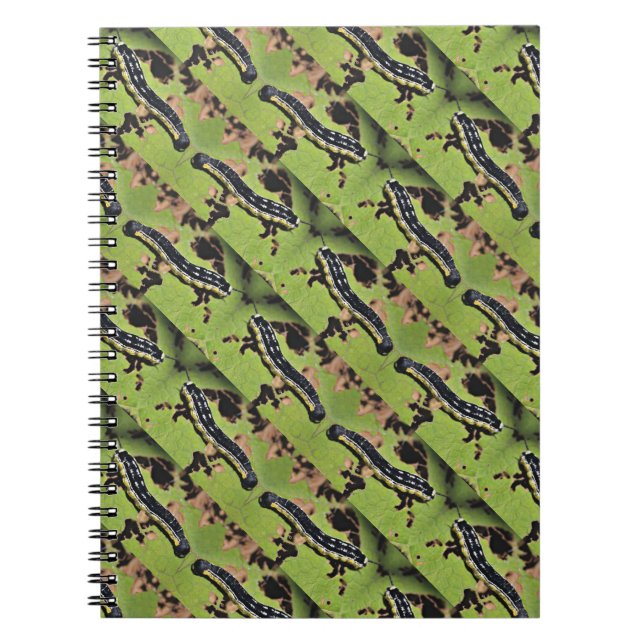 Catalpa Worms Camo Catfish Fishing Notebook (Front)