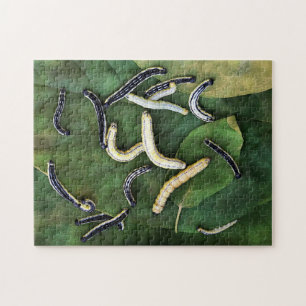 Catalpa Worms Catfish Bait Photographic Art Jigsaw Puzzle