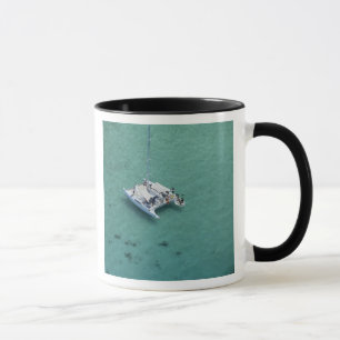 Catamaran, Mamanuca Islands, Fiji, South Pacific Mug