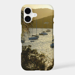 Catamarans and sailboats