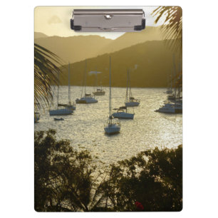 Catamarans and sailboats clipboard