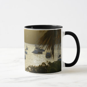 Catamarans and sailboats mug