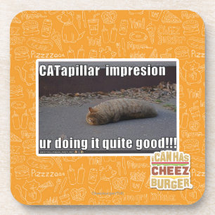 CATapillar Coaster