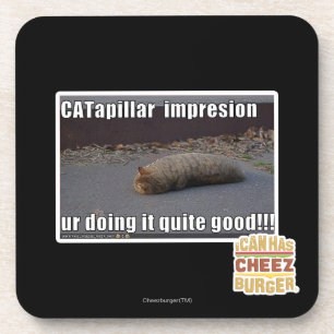 CATapillar Coaster