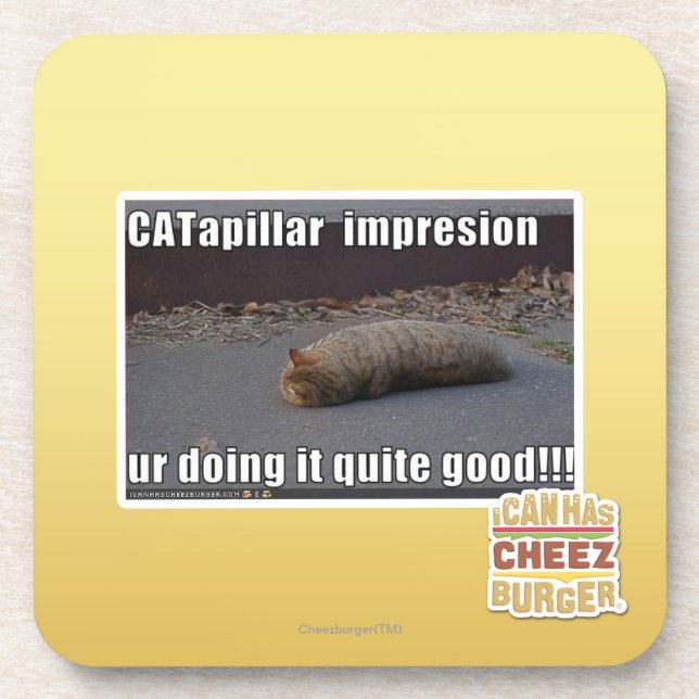 CATapillar Coaster (Front)