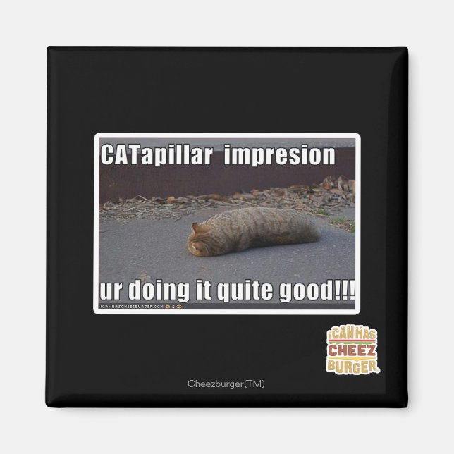 CATapillar Magnet (Front)