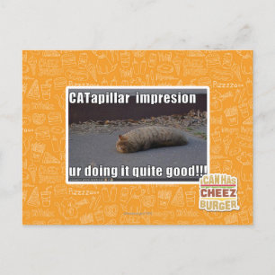 CATapillar Postcard