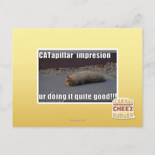 CATapillar Postcard