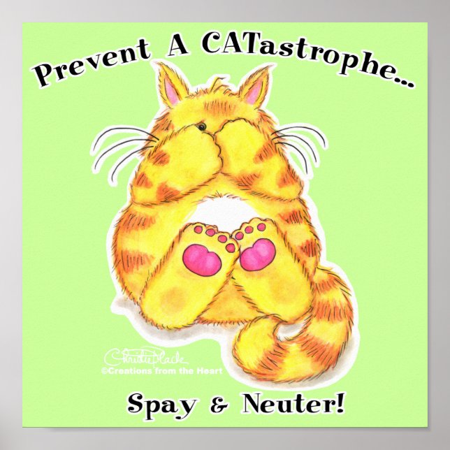 CATastrophe Poster (Front)