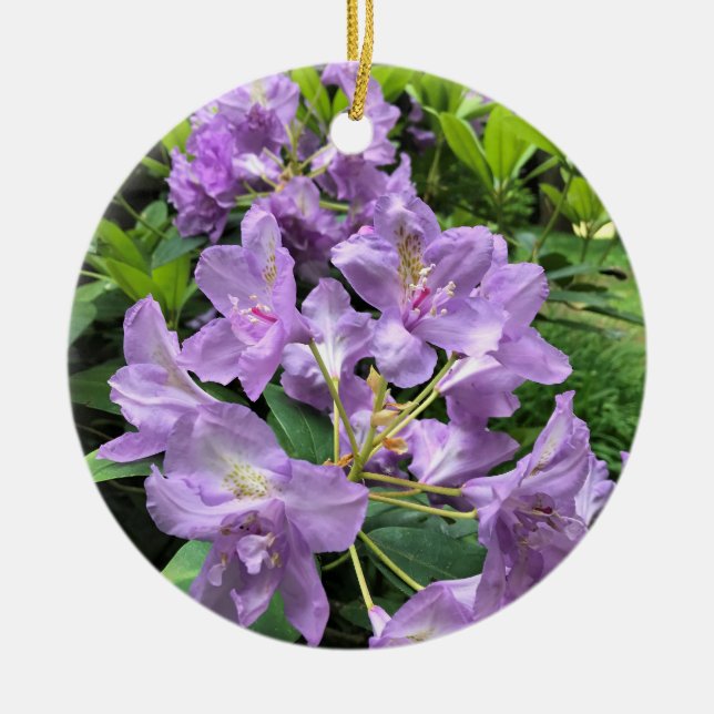 Catawbiense Boursault Rhododendrons, Oregon Ceramic Ornament (Front)