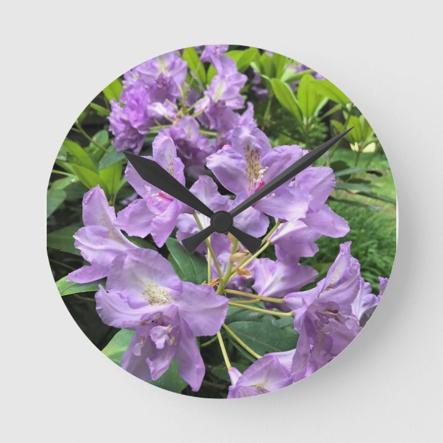 Catawbiense Boursault Rhododendrons, Oregon Round Clock (Front)
