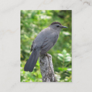 Catbird ATC Business Card