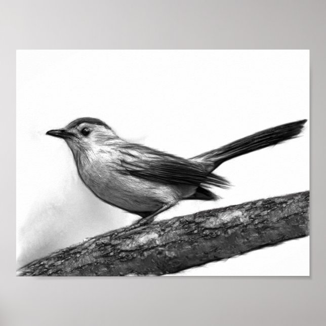 Catbird Poster (Front)