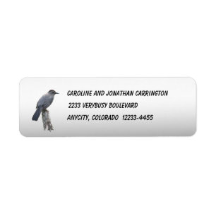Catbird Return Address Label
