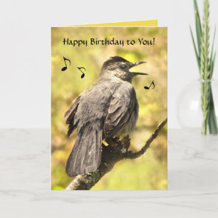 Catbird Sings Happy Birthday Card