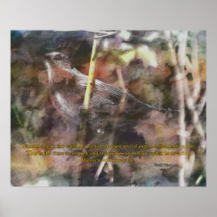 Catbird with Vivek Wadwha quote Poster