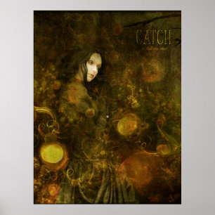 catch a falling star poster