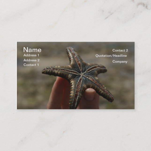 Catch a Floating Star...Starfish Business Card (Front)