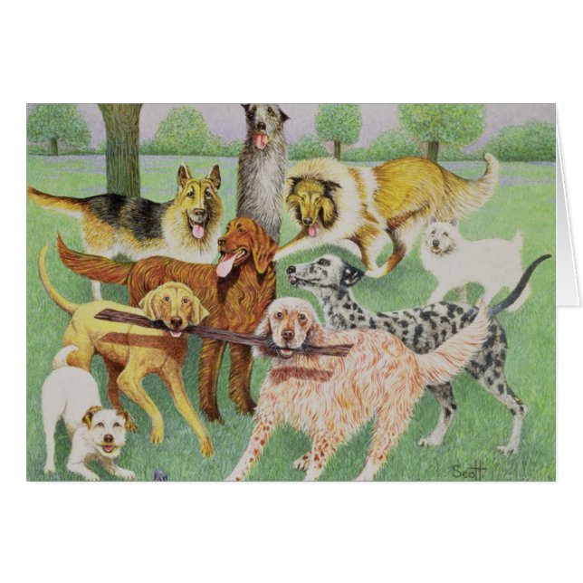 Catch and Carry (Front Horizontal)