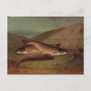 Catch of the Day Trout on a Riverbank Postcard