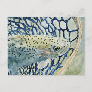 Catch & Release Fishing Designs Postcard