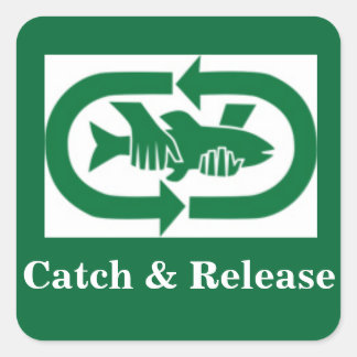 Catch & Release sticker