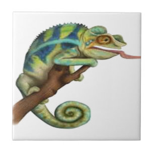 CATCH THE EYE CERAMIC TILE