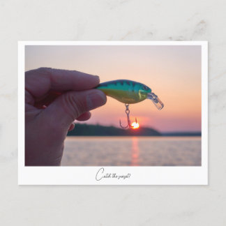 Catch the sunset  postcard