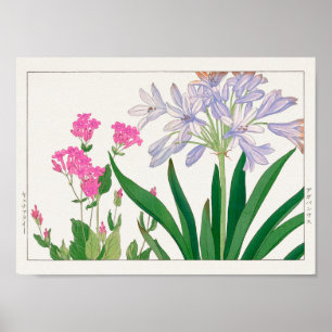 Catchfly, African lily by Tanigami Konan Poster