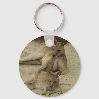 Catching the rays key ring