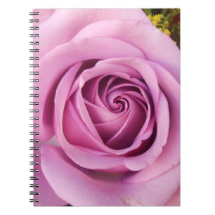 Catejne Notebook