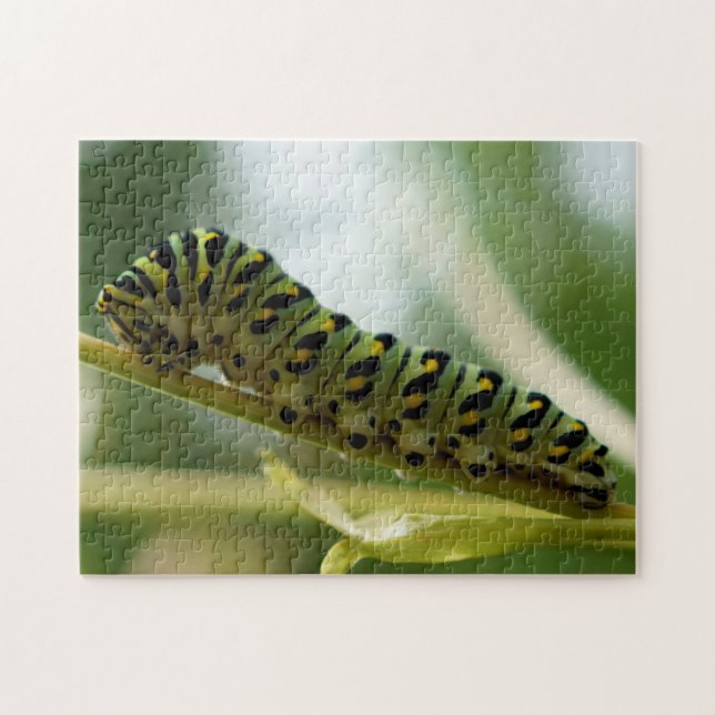 Caterpillar 10x14 Puzzle (Horizontal)