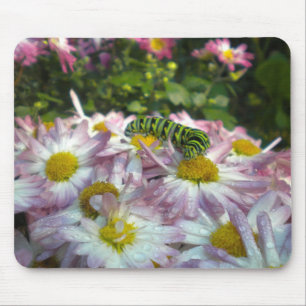 Caterpillar and Asters Mousepad