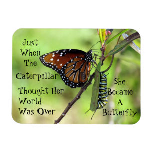 Caterpillar / Butterfly Quote Magnet