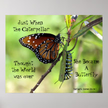 Caterpillar / Butterfly Quote Poster