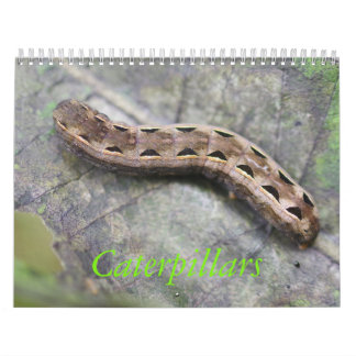 Caterpillar Calendar