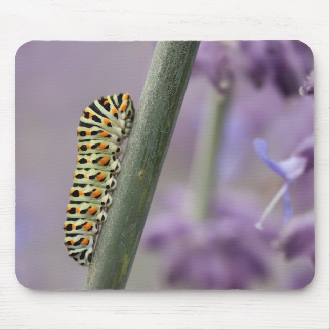Caterpillar, dovetail, close-up mouse pad (Front)