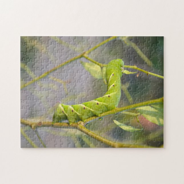 Caterpillar Guyana Jigsaw Puzzle (Horizontal)