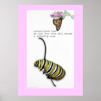 Caterpillar Haiku poster